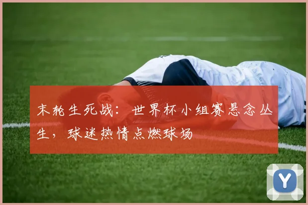 末轮生死战：世界杯小组赛悬念丛生，球迷热情点燃球场