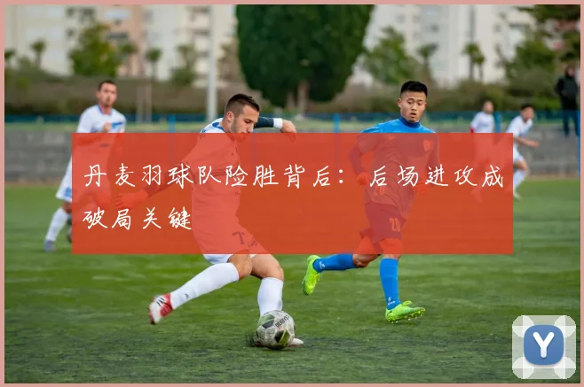 丹麦羽球队险胜背后：后场进攻成破局关键